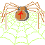 spider4.gif