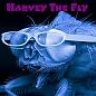 harveythefly