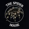 The Spider House
