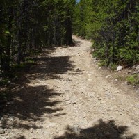 North Supply Creek & Kawuneeche Road