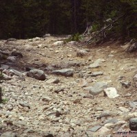 North Supply Creek & Kawuneeche Road