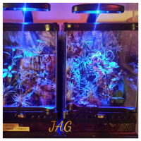 Just a couple of my T enclosures under blue lights