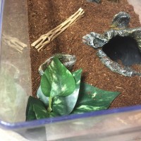 OBT Enclosure 1