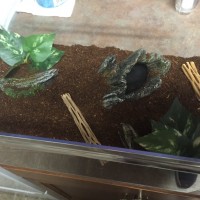 OBT Enclosure 2