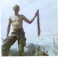Giant Vietnamese Centipede