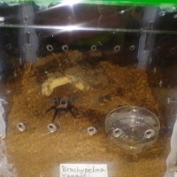 Successful rehouse