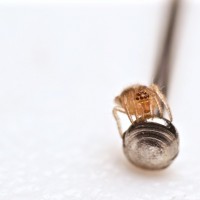 Tiny Sling Sitting on the Head of a Pin