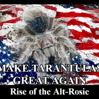 Rise of the Alt-Rosie