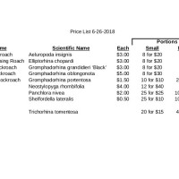 Price List 20080628