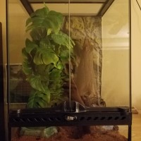 New Enclosure