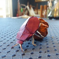 Origami Scarab [2/3]