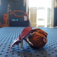 Origami Scarab [3/3]