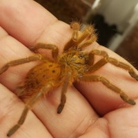 The only time I dare to hold my OBT