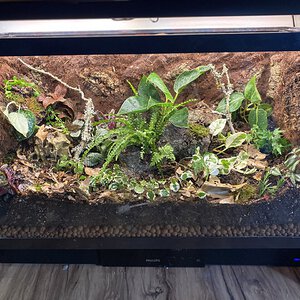 30gal Closed Ecosystem Terrarium