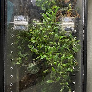 DIY Lid replacement for aquarium-type tank