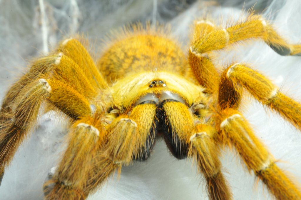 Fierce OBT staring back at me