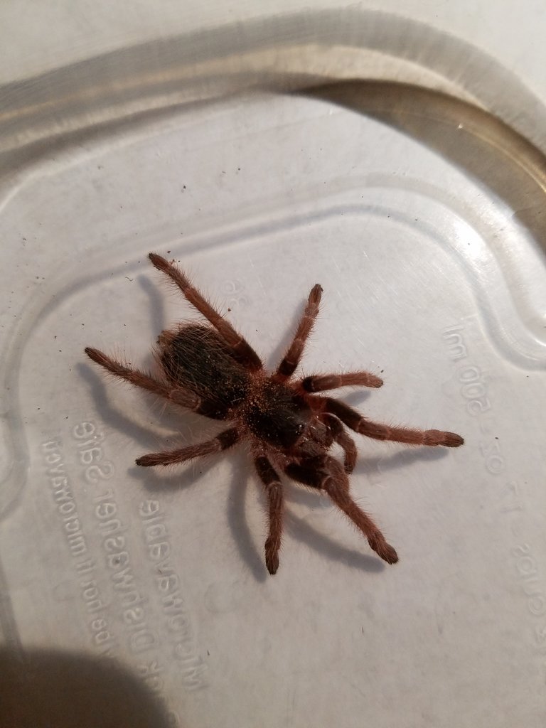 ID Request