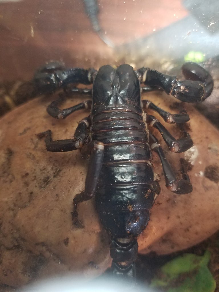 Laying on her hide