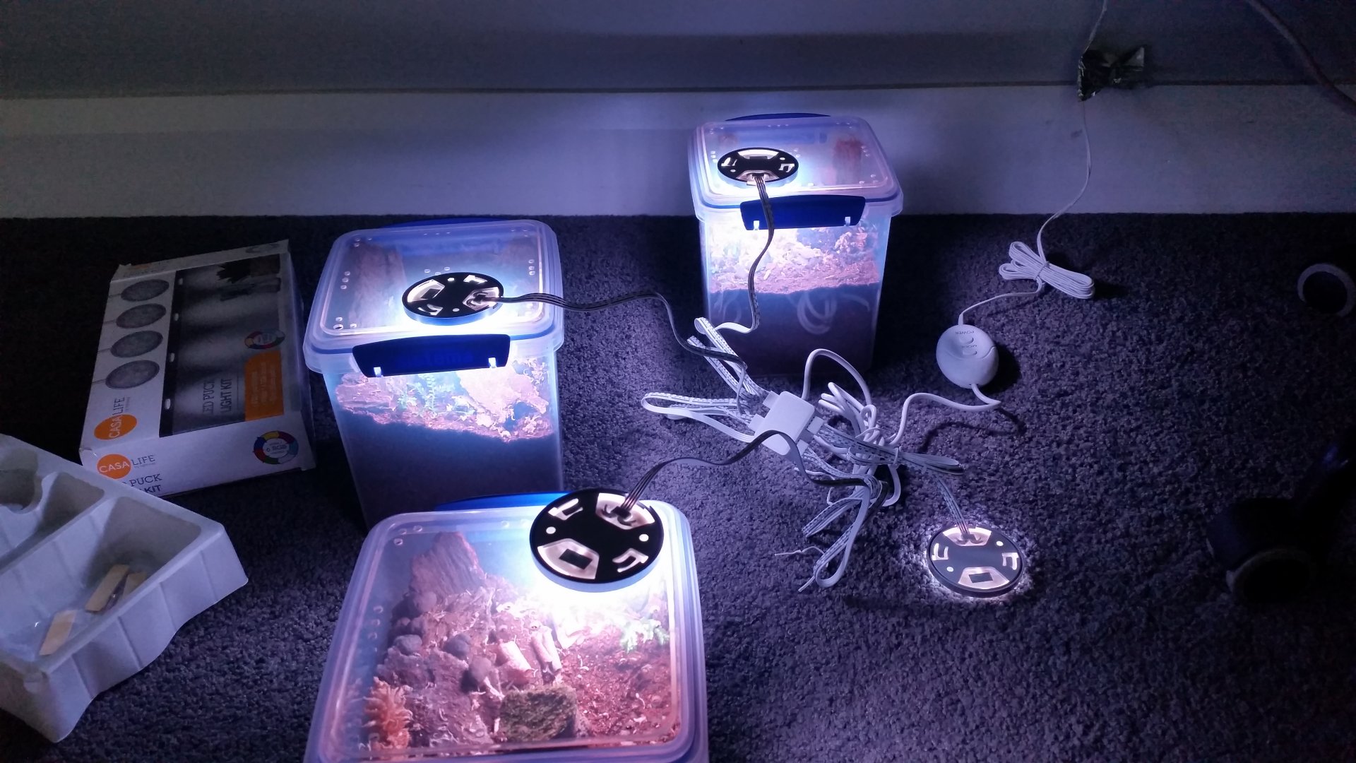 New vivarium lights