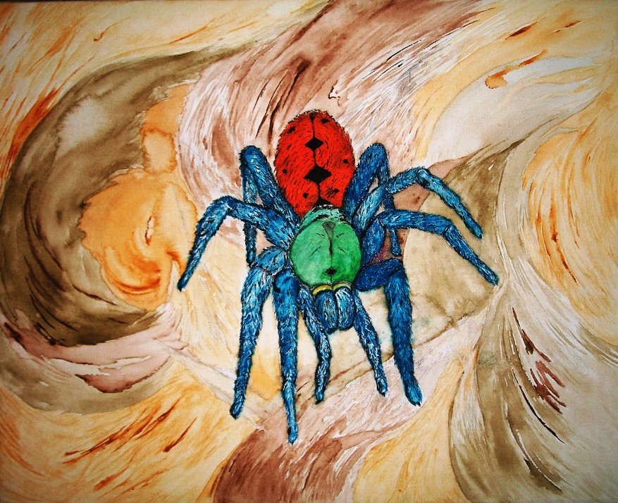 Our Tarantulas and Paintings