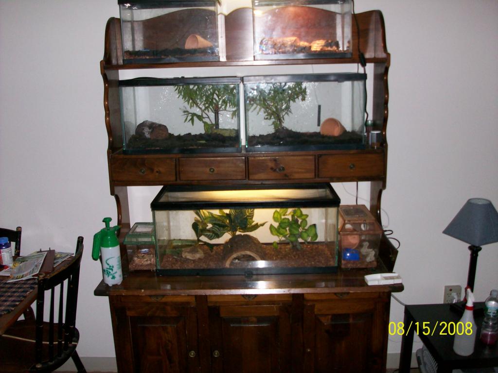 Some of my enclosures