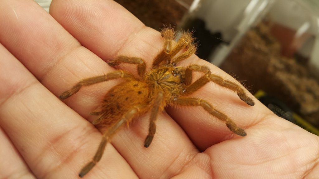 The only time I dare to hold my OBT