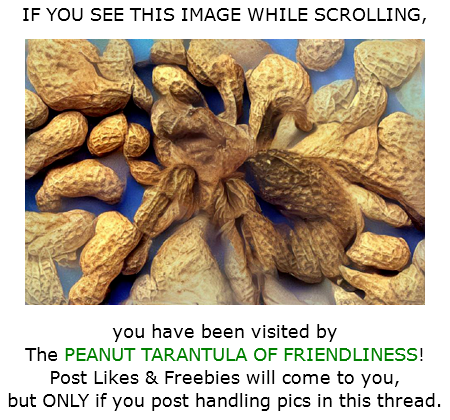 The Peanut Tarantula of Friendliness