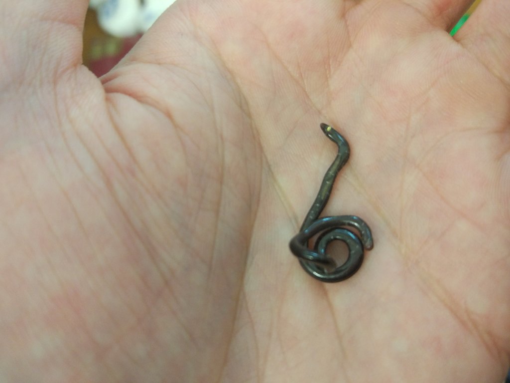 Worlds smallest snake