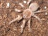 bsmithi2.jpg