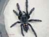 p.irminia_02_tweak_web.jpg