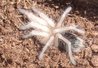 101_0940 molt.jpg