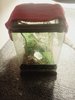 IMG_20160309_161614.jpg