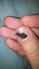20160311_214648.jpg