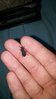 20160311_214729.jpg