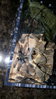20160407_193324.jpg