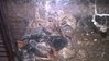 WP_20160427_20_54_15_Pro.jpg