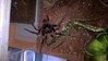 WP_20160411_13_42_06_Pro.jpg