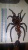 20160606_213827.jpg