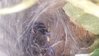 20160706_201639.jpg