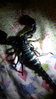 20160718_222717.jpg 20160718_222717.jpg