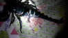 20160718_222544.jpg 20160718_222544.jpg