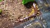 20160729_041654.jpg