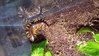 20160729_041622.jpg