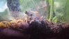20160729_042133.jpg