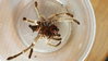 20160730_174009.jpg 20160730_174009.jpg