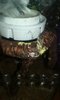 20160820_140518.jpg 20160820_140518.jpg