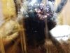 20160921_215229.jpg 20160921_215229.jpg
