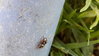 20161020_101949.jpg 20161020_101949.jpg