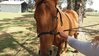 IMG-20161023-WA004.jpg IMG-20161023-WA004.jpg