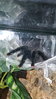 20161205_232327.jpg